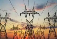 Kejar Target Rasio Elektrifikasi, PLN Rekrut 5.558 Pegawai Baru