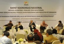 Pemerintah Targetkan KUR 2017 ke Sektor Pertanian