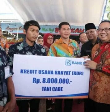 2017, Kemenkop Genjot KUR Sektor Produksi