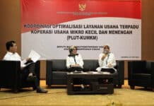 Kemenkop Catat Baru 10 PLUT KUMKM Bentuk UPTD