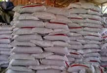 Koptan Gema Pakagung Sukses Jadi Distributor Pupuk Bersubsidi