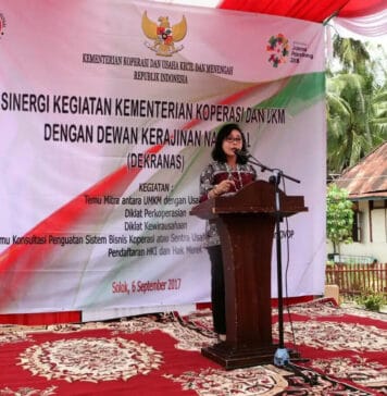 Manajemen UMKM Perlu Penataan Manajemen UMKM Perlu Penataan