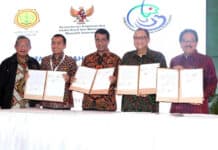 KUR Bunga 7 Persen Disalurkan Bagi Peremajaan Sawit Rakyat Berbasis Koperasi