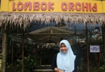 UKM Tanaman Hias di Lombok "Naik Kelas" Usaha Berkat KUR