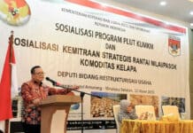 PLUT KUMKM Perlu Dukungan Pemda