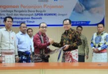 LPDB Buka Akses Pembiayaan Bagi Peternak Sapi di Kupang