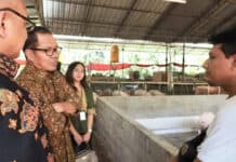 LPDB Dukung Pelaku UMKM Bali "Naik Kelas"