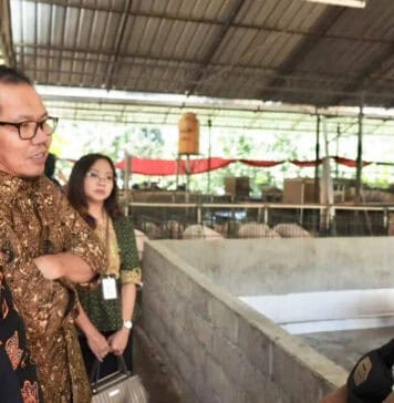 LPDB Dukung Pelaku UMKM Bali “Naik Kelas” LPDB Dukung Pelaku UMKM Bali "Naik Kelas"