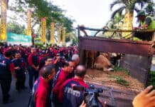 Sambut Hari Raya Idul Adha, AGP Tebar Hewan Kurban di 228 Titik