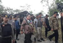 Menristek: Teaching Industri, Pengembangan Industri Pembibitan Sapi Lokal Berbasis Iptek