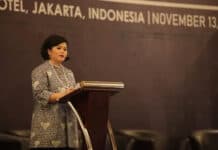 Ketua PYC: Peran Krusial Energi Baru dan Terbarukan Dukung Tujuan Pembangunan Berkelanjutan