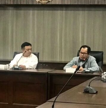 LPDB-OVO Jajaki Kerja Sama Penyaluran Dana Bergulir Bagi Koperasi
