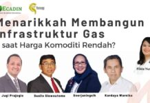 Menarikkah Membangun Infrastruktur Gas saat Harga Komoditi Rendah?