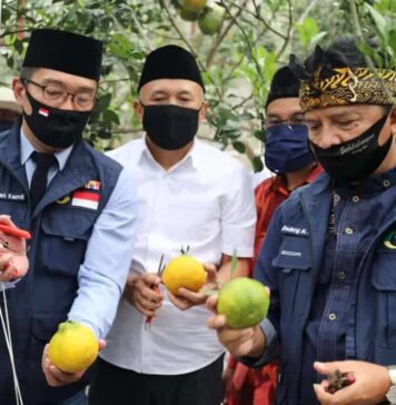 Antisipasi Krisis Pangan, Koppontren Akan Dijadikan Role Model
