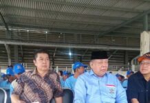 Praktisi Sektor Perikanan ini Apresiasi Menteri Edhy Prabowo Tentang Pengelolaan Lobster Dalam Negeri