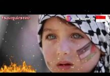 Lirik Lagu We Will Not Go Down Terjemahan Bahasa Indonesia