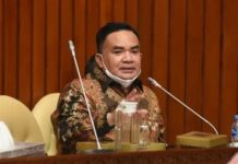 Pemerintah Ambil Langkah Strategis, DPR Berharap Harga TBS Segera Normal.