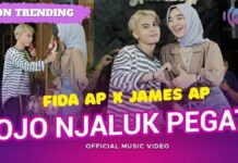 Lirik Lagu Ojo Njaluk Pegat - Fida AP X James AP