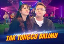 Lirik Lagu Tak Tunggu Balimu - Happy Asmara, Denny Caknan