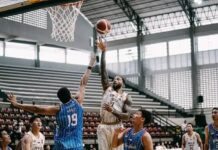 IBL Indonesia Cup 2022 : Singkirkan Amartha Hangtuah, Dewa United Melaju ke Semifinal