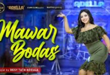 Lirik Lagu Mawar Bodas - Desy Thata Adella