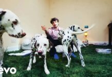 Lirik Lagu The Shade dan Terjemahan - Rex Orange County