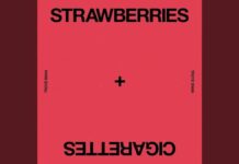 Lirik Lagu Strawberries And Cigarettes dan Terjemahan - Troye Sivan