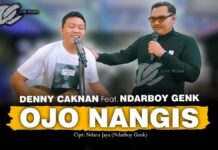 Lirik Lagu Ojo Nangis dan Artinya - Denny Caknan, Ndarboy Genk