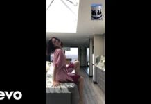 Lirik Lagu Wolves dan Terjemahan - Selena Gomez