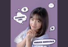 Lirik Lagu Kucingmu Lari – Haruka Nakagawa Lirik Lagu Kucingmu Lari - Haruka Nakagawa