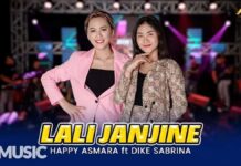 Lirik Lagu Lali Janjine - Happy Asmara, Dike Sabrina