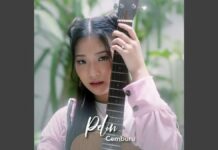 Lirik Lagu Cemburu - Pelin