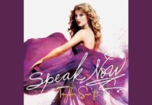 Lirik Lagu Enchanted dan Terjemahan - Taylor Swift