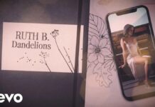 Lirik Lagu Dandelions dan Terjemahan - Ruth B