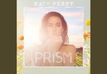 Lirik Lagu Roar dan Terjemahan - Katy Perry