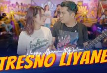 Lirik Lagu Tresno Liyane - Happy Asmara, Delva