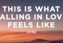 Lirik Lagu This Is What Falling In Love Feels Like dan Terjemahan - JVKE