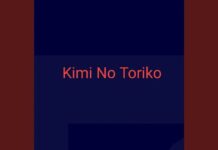 Lirik Lagu Kimi No Toriko dan Terjemahan - Rizky Ayuba