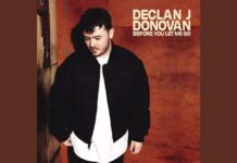 Lirik Lagu Before You Let Me Go dan Terjemahan - Declan J Donovan