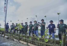 BNI Tanam 2.000 Bibit Mangrove di Teluk Benoa Bali