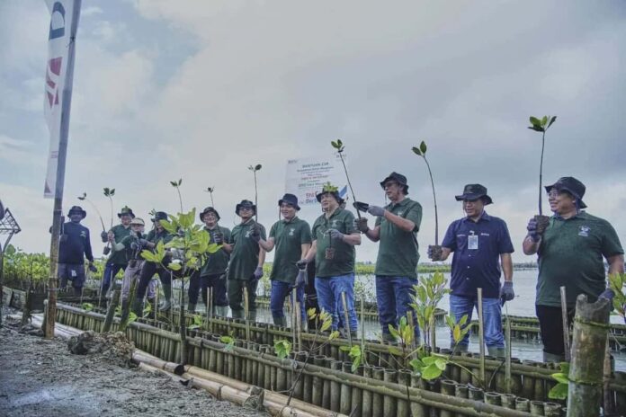 BNI Tanam 2.000 Bibit Mangrove di Teluk Benoa Bali