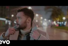 Lirik Lagu You Are The Reason dan Terjemahan - Calum Scott