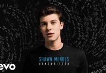 Lirik Lagu Imagination dan Terjemahan - Shawn Mendes