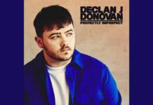Lirik Lagu Perfectly Imperfect dan Terjemahan - Declan J Donovan