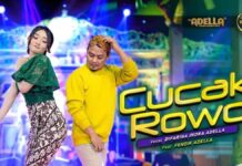 Lirik Lagu Cucak Rowo - Difarina Indra, Fendik