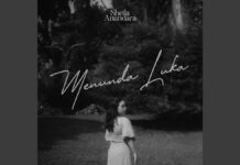 Lirik Lagu Menunda Luka - Sheila Anandara