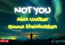 Lirik Lagu Not You - Alan Walker, Emma Steinbakken