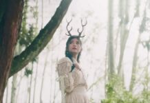 Lirik Lagu Sekedar Mengagumi - Daun Jatuh