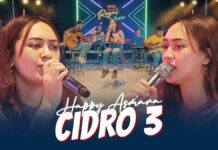 Lirik Lagu Cidro 3 - Happy Asmara