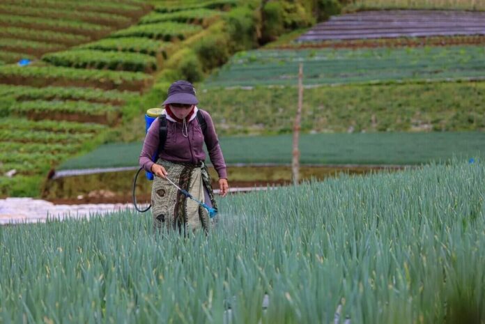 Kemenkop UKM Turut Perkuat Upaya Digitalisasi dan Hilirisasi Koperasi Pertanian di ASEAN